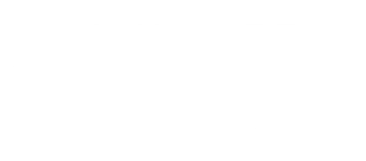 Spintz