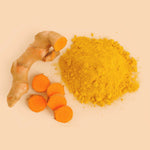 Frische Kurkuma-Wurzel und gemahlenes Kurkumapulver – natürliche Basis für SPINTZ Bio Kurkuma Piperin Kapseln mit Curcumin