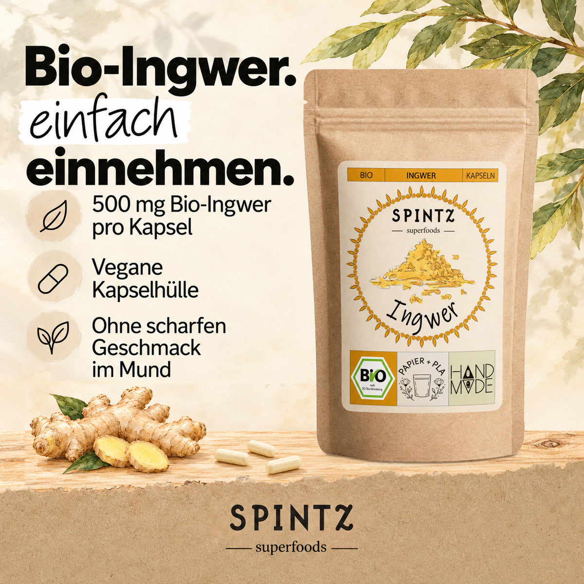 SPINTZ Bio-Ingwer-Kapseln mit veganer Kapselhülle zur einfachen Einnahme, neben frischer Ingwerwurzel.