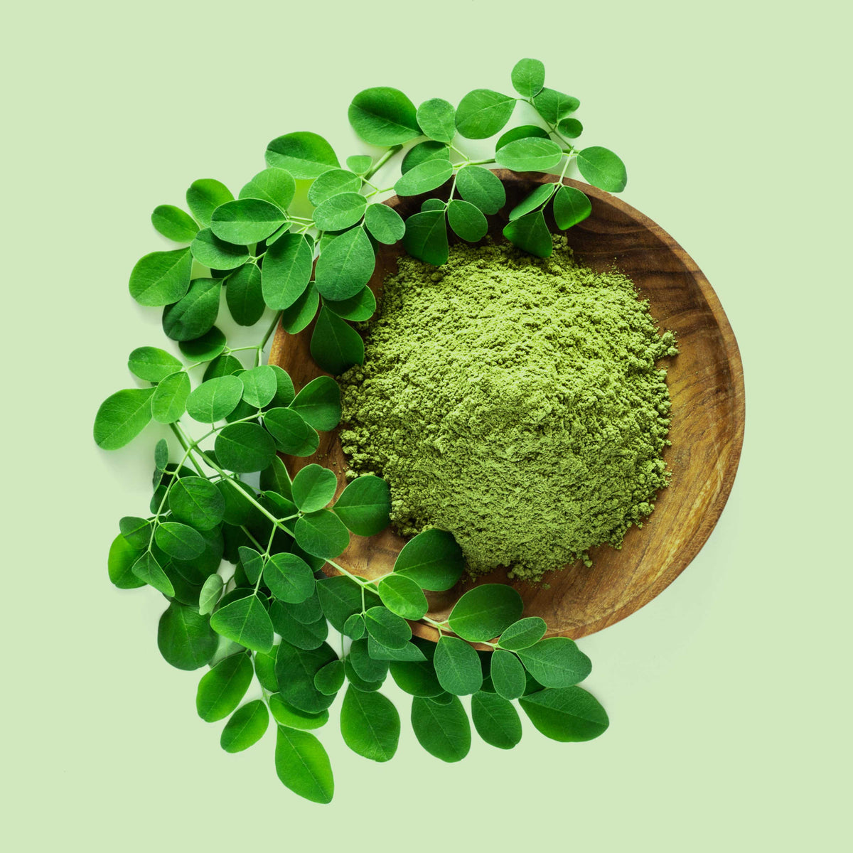 Frisches Moringa Pulver in Holzschale mit grünen Blättern – nährstoffreiches Superfood, reich an Vitaminen, Mineralstoffen und Antioxidantien