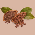 SPINTZ Bio Kakaonibs mit frischen Kakaobohnen – naturbelassen, aromatisch und reich an Antioxidantien