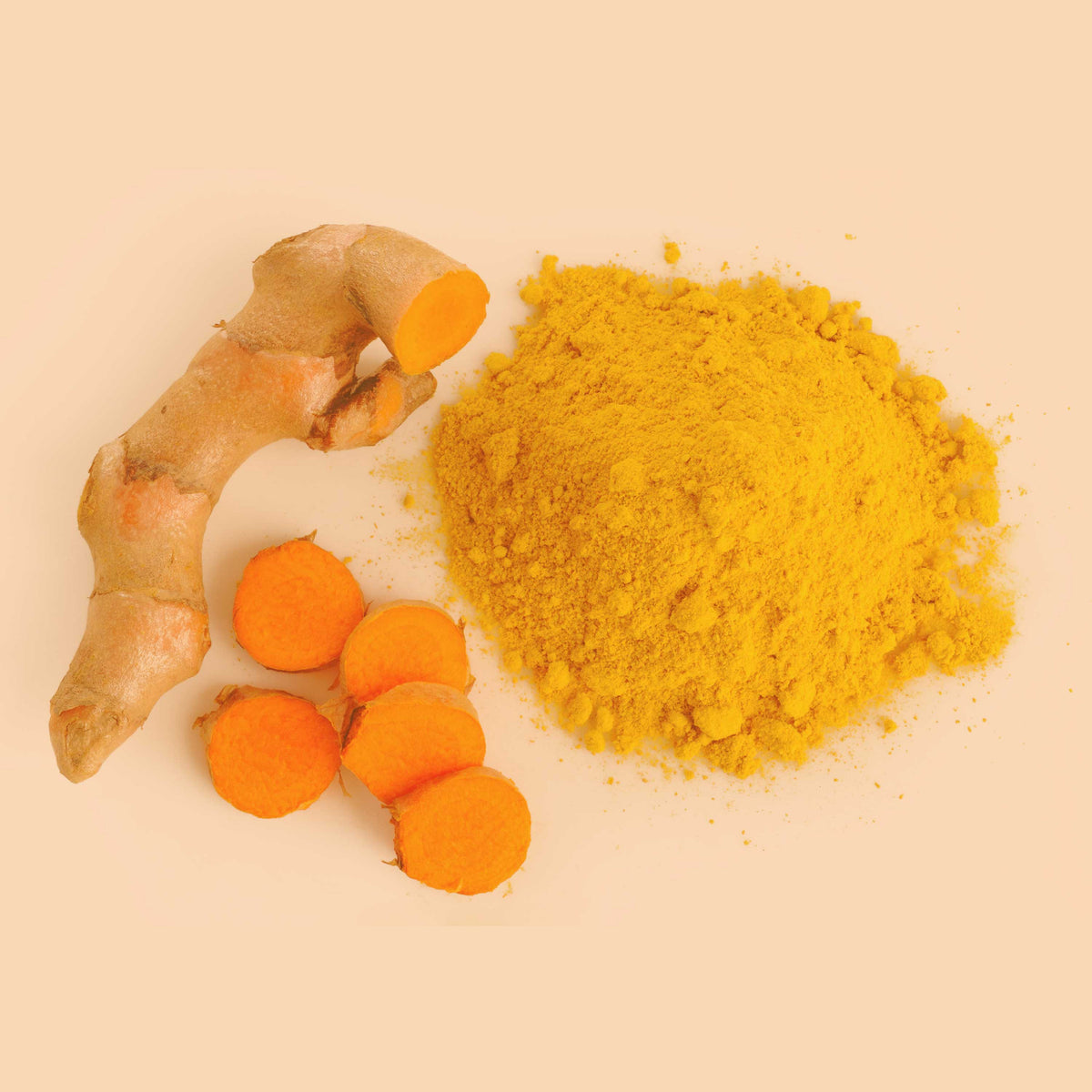 Frische Kurkumawurzel und fein gemahlenes SPINTZ Bio Kurkuma Pulver – intensiv gelb, aromatisch und reich an Curcumin