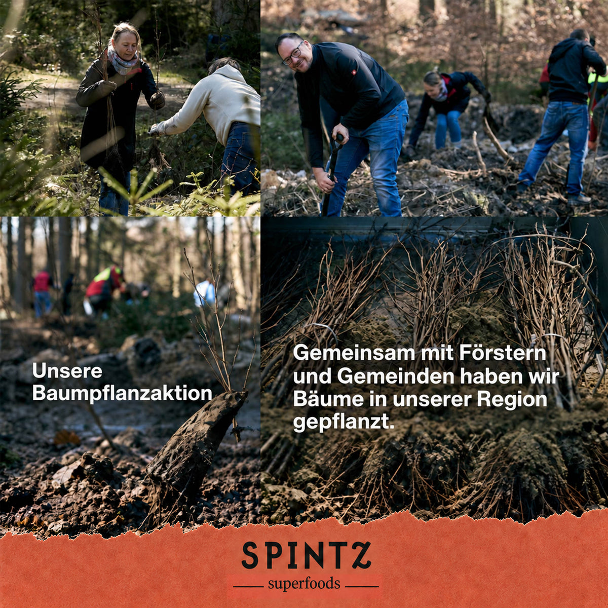 Helfer bei einer regionalen Baumpflanzaktion von SPINTZ in Zusammenarbeit mit Förstern und Gemeinden.