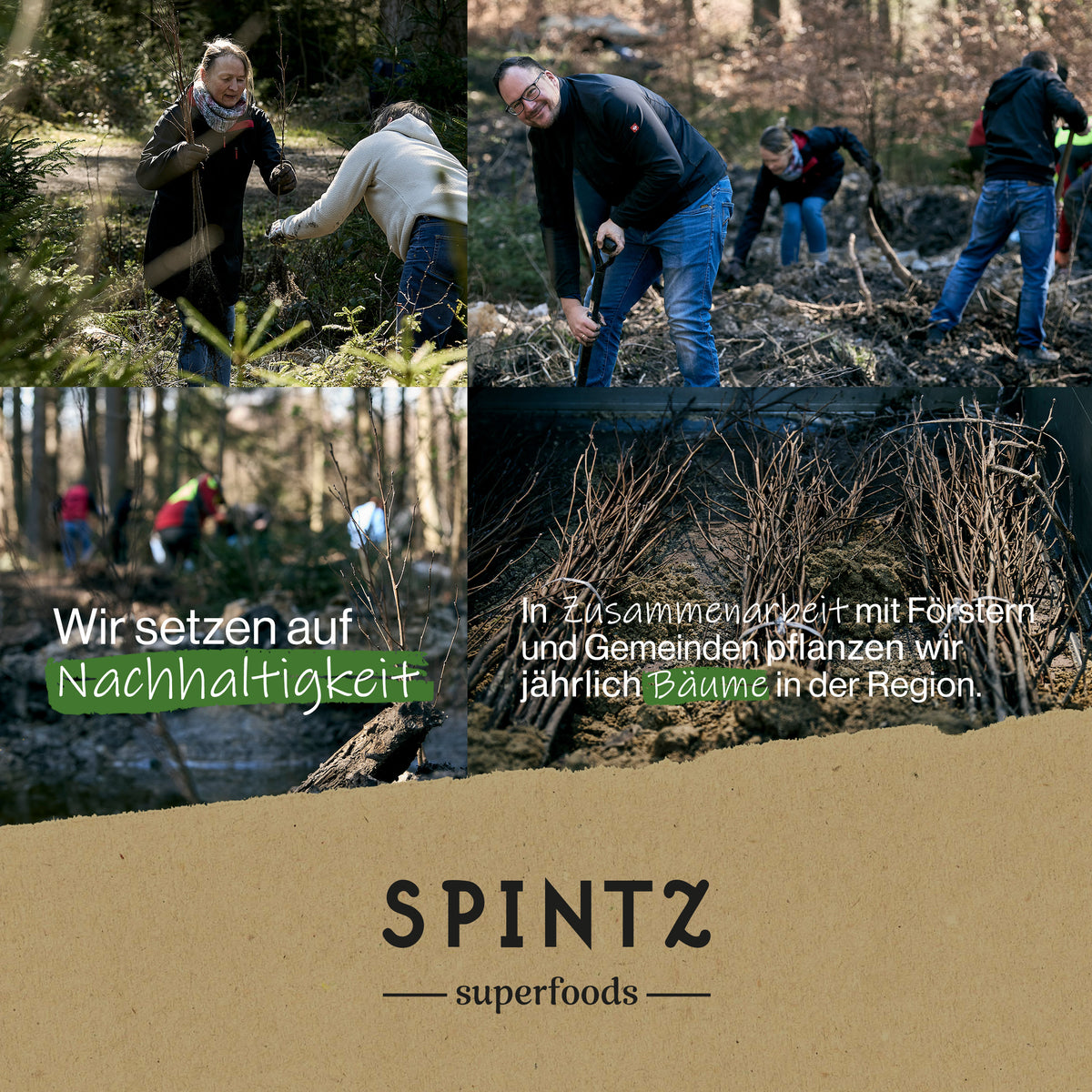 Menschen bei einer Baumpflanzaktion für das Nachhaltigkeitsengagement von SPINTZ