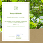 Baum-Urkunde für die von SPINTZ unterstützte Pflanzung von Bäumen