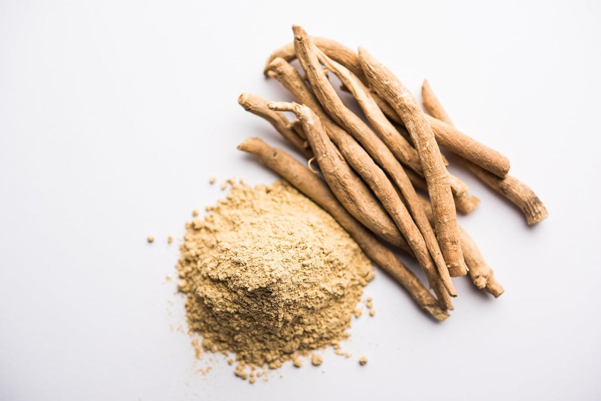 Ashwagandha Wurzeln mit Pulver – hochwertige Basis für das SPINTZ Bio Ashwagandha Pulver, reich an natürlichen Inhaltsstoffen