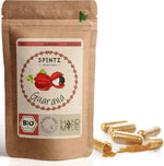 SPINTZ Guarana Kapseln im umweltfreundlichen Doypack mit Bio-Siegel – natürliche Energiequelle aus pflanzlichem Koffein