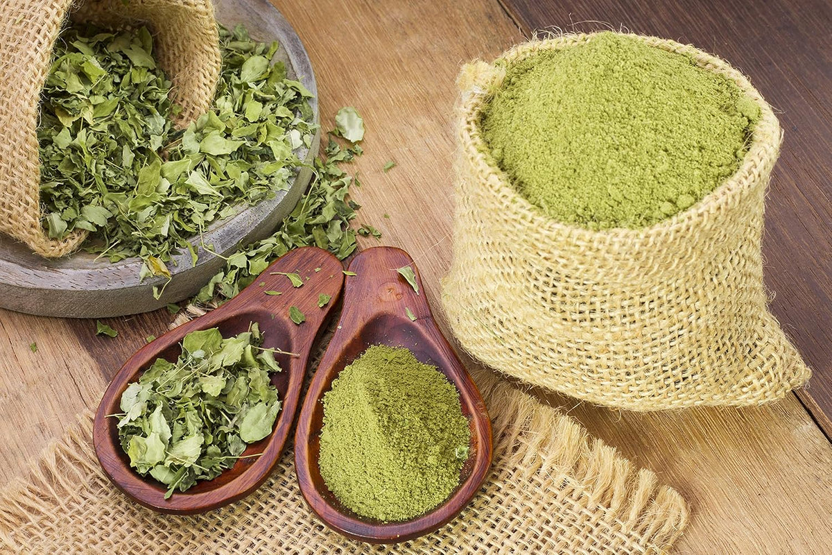 Frisches Moringa Pulver mit getrockneten Blättern – nährstoffreiches Superfood aus kontrolliert biologischem Anbau