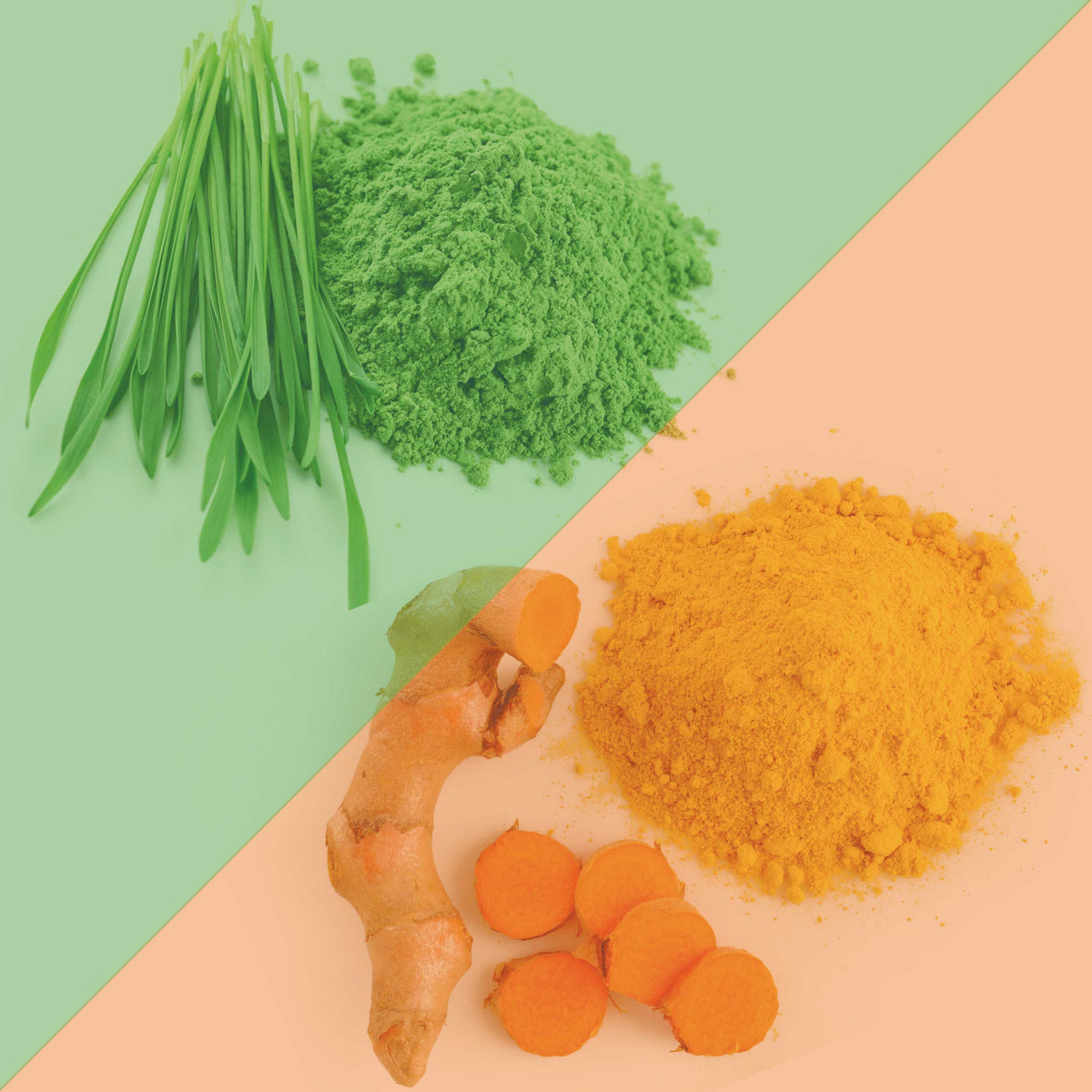 Bio-Kurkuma und frisches Gerstengras – kraftvolle Pflanzenkombination für SPINTZ Kurkuma & Gerstengras Kapseln