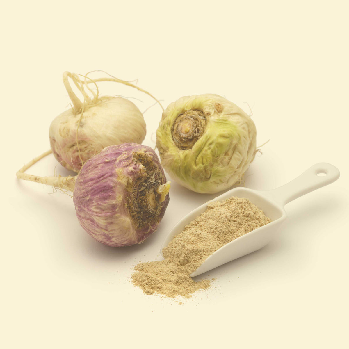 Frische Maca-Wurzeln und feines Maca-Pulver – natürliche Basis für die SPINTZ Maca Kapseln aus biologischem Anbau