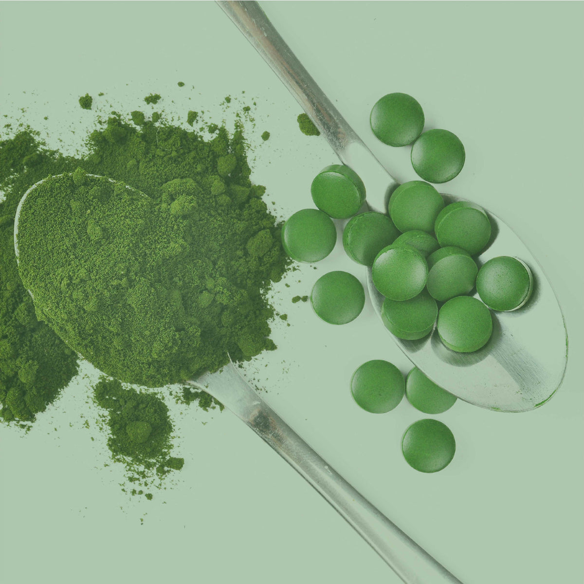 Feines Spirulinapulver und Presslinge – Grundlage der hochwertigen SPINTZ Bio Spirulina Tabletten